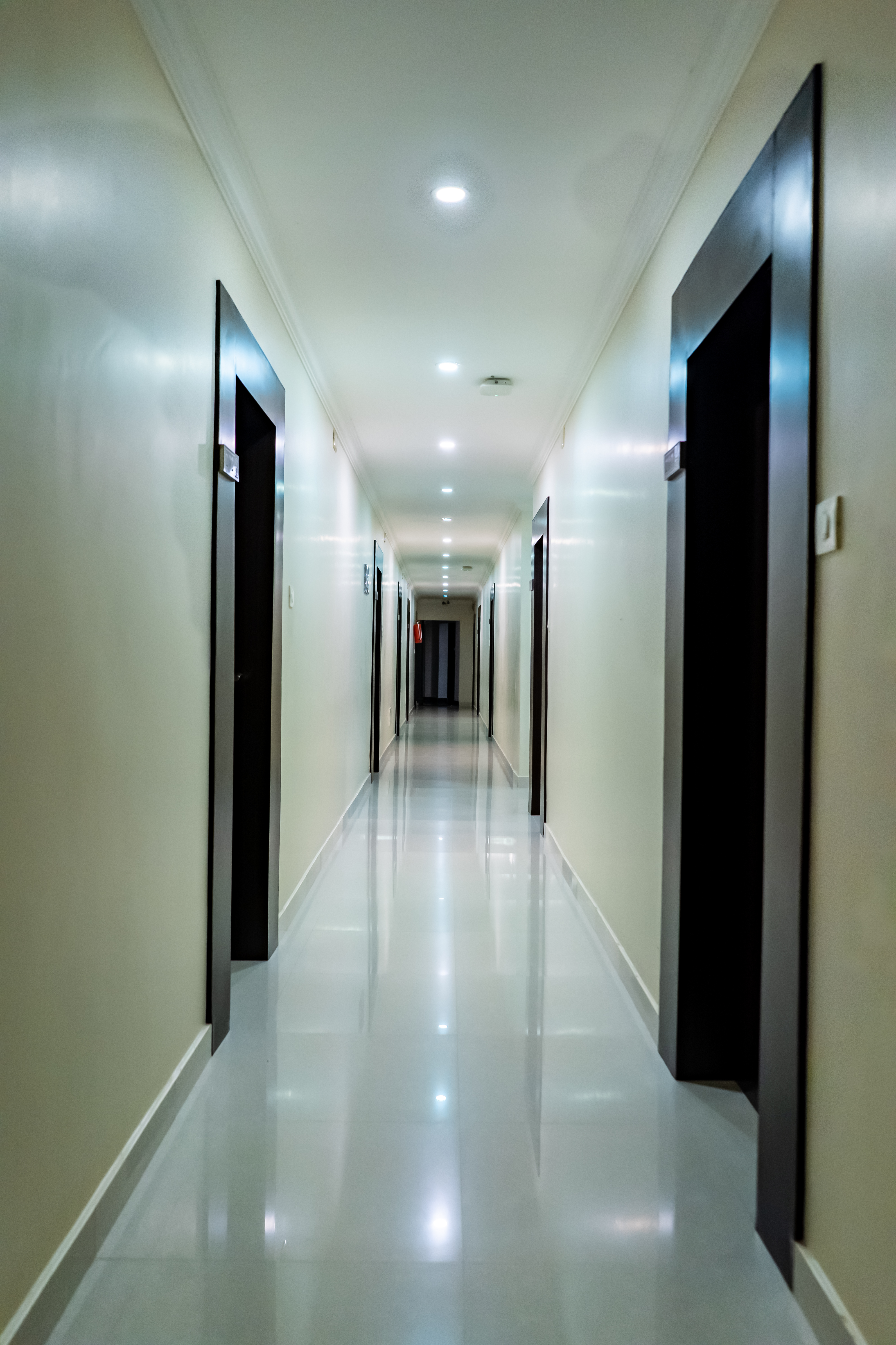 Our Gallery